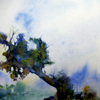 Der Mrchenbaum / L' albero delle favole / The Fairy Tre, Aq., 2011, 14x19
